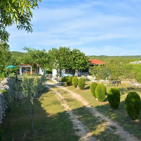 Home, Bozic *